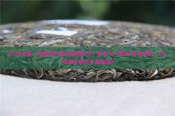 中国现代茶叶是如何划分的