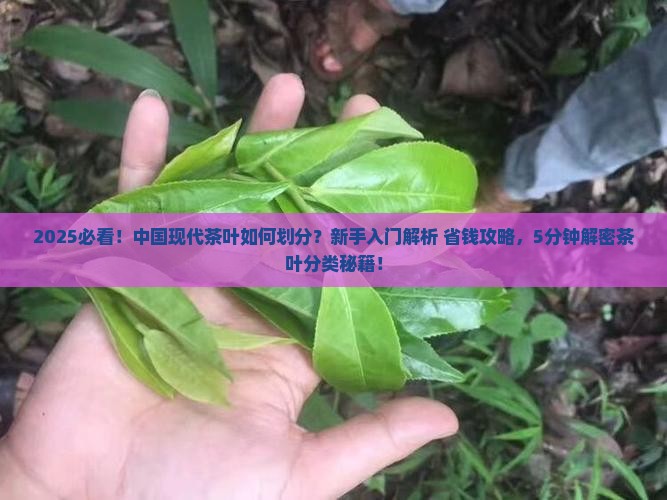 中国现代茶叶是如何划分的