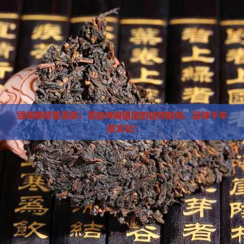 缅甸禅帮普洱茶