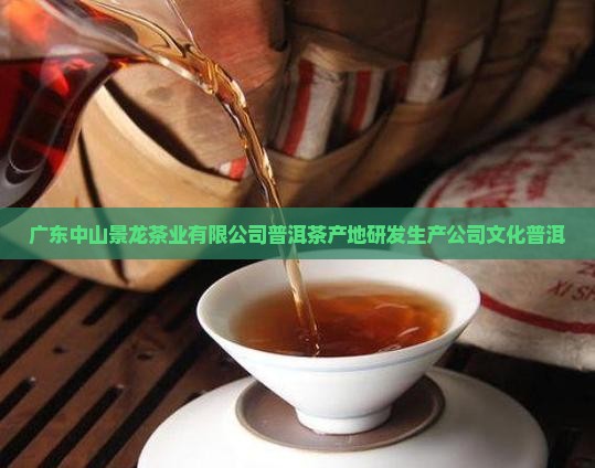 广东中山普洱茶产地