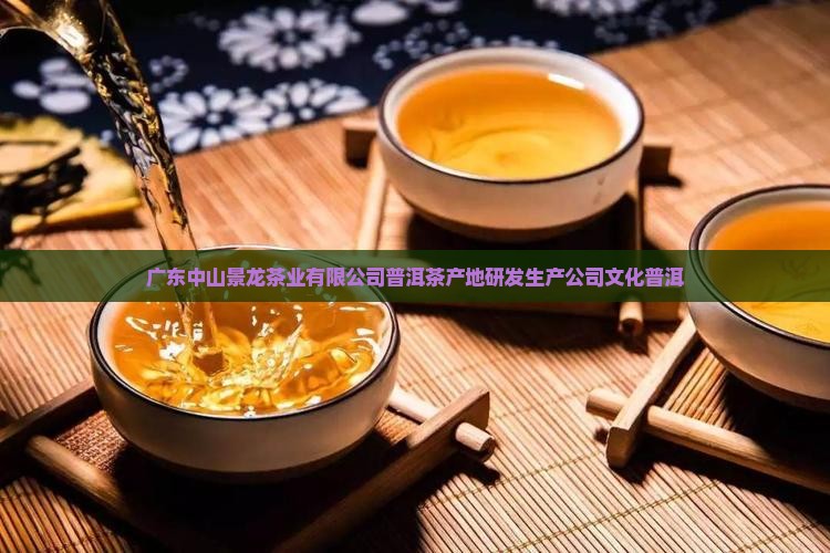 广东中山普洱茶产地