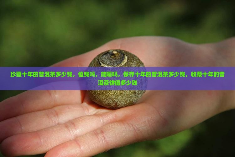 珍藏十年的普洱茶