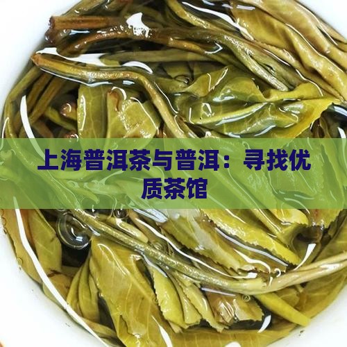 上海富硒普洱茶哪里买好