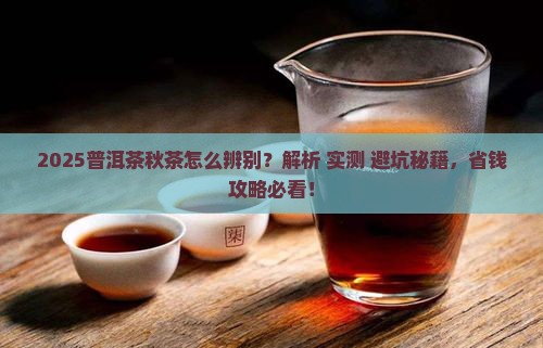 普洱茶如何辨别秋茶