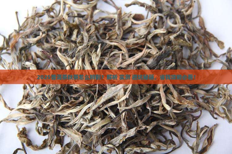 普洱茶如何辨别秋茶
