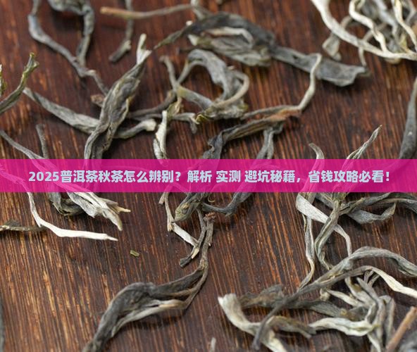 普洱茶如何辨别秋茶