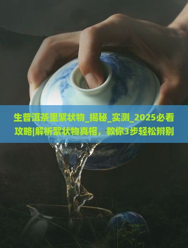 生普洱茶里絮状物
