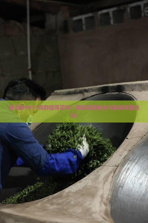 普洱茶9931 普洱茶9931