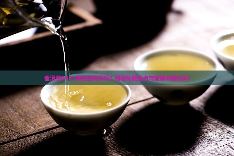 普洱茶9931 普洱茶9931