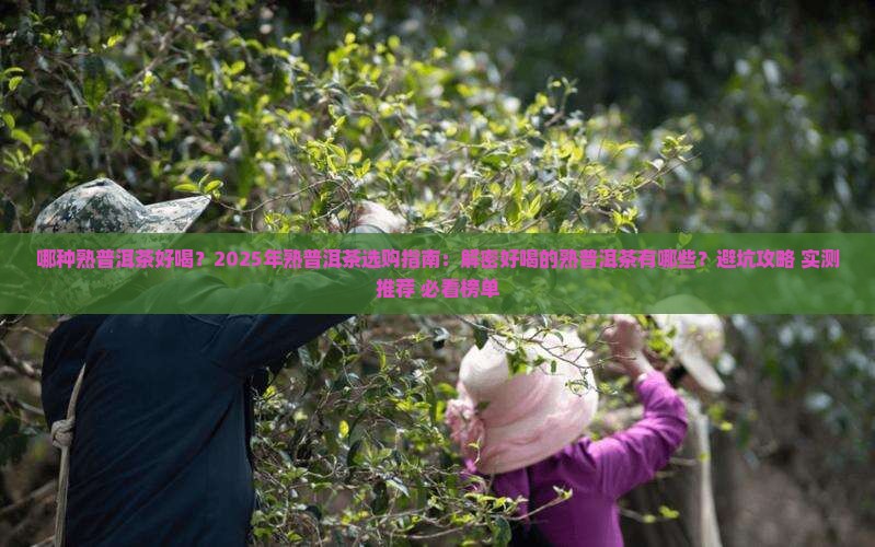 哪种熟普洱茶好喝