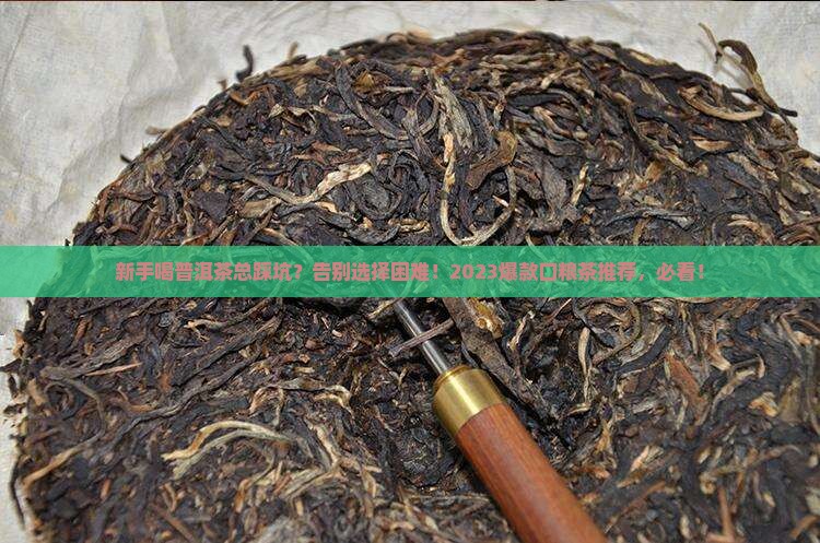 新手推荐喝什么普洱茶