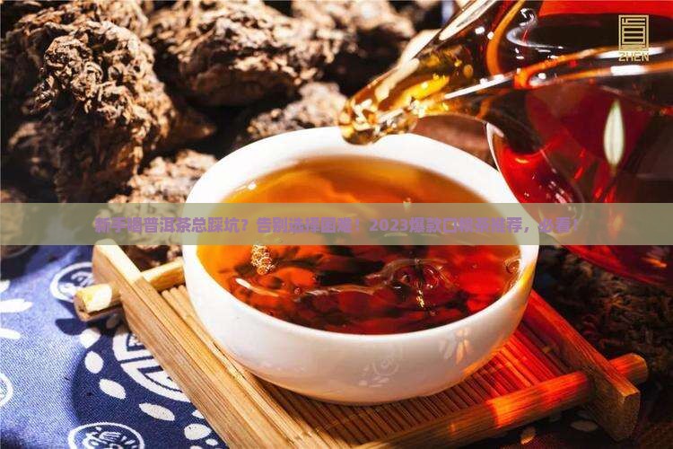 新手推荐喝什么普洱茶