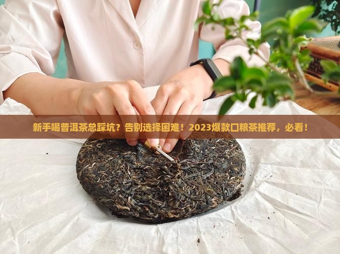 新手推荐喝什么普洱茶