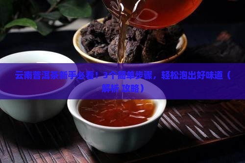 云南的普洱茶得怎么泡