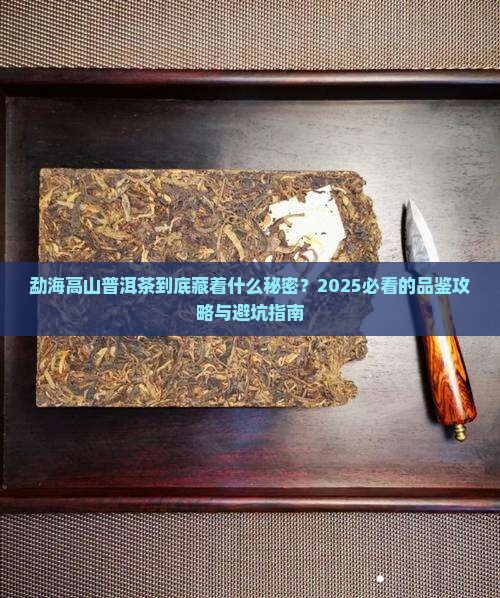 勐海高山普洱茶介绍