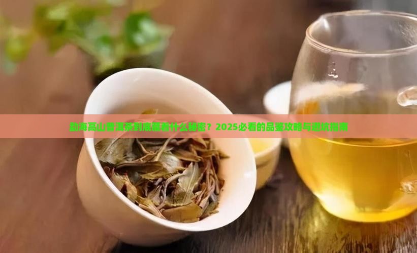 勐海高山普洱茶介绍