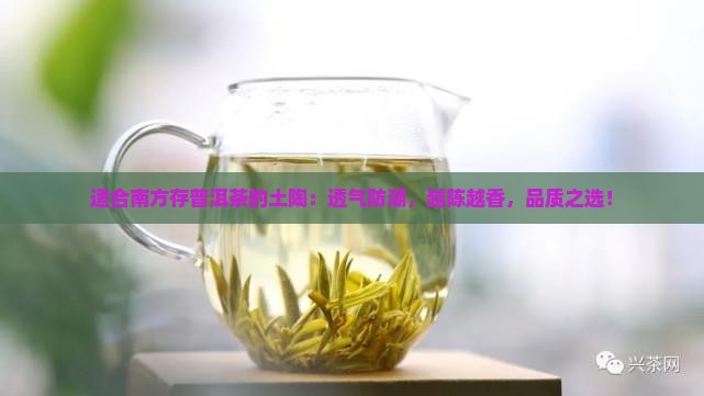 适合南方存普洱茶的土陶