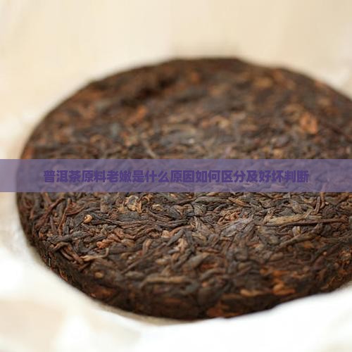 普洱茶原料老嫩
