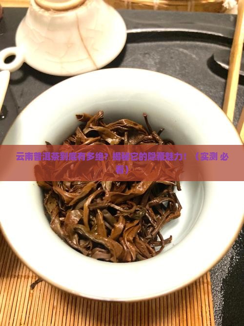 云南特产普洱茶的介绍和特点