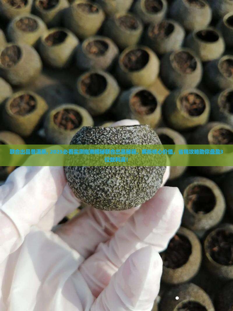 联合出品普洱茶 联合出品普洱茶