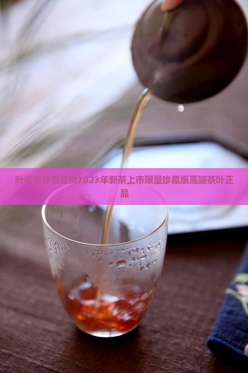 叶佑紫芽苞普洱
