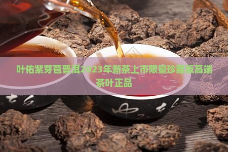 叶佑紫芽苞普洱