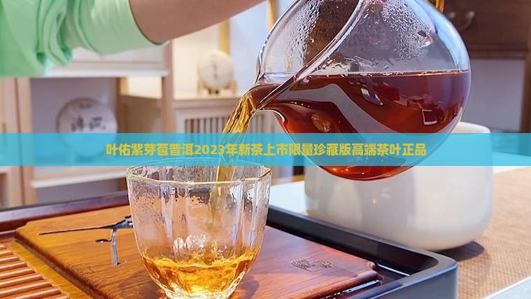 叶佑紫芽苞普洱