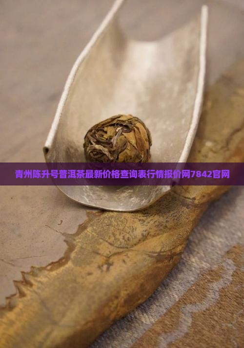 青州陈升号普洱茶