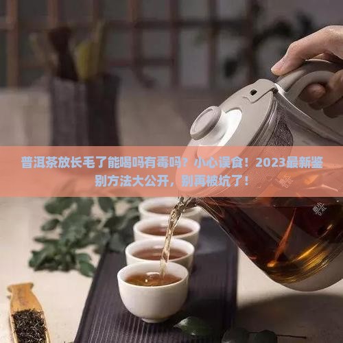 普洱茶放长毛了能喝吗有毒吗