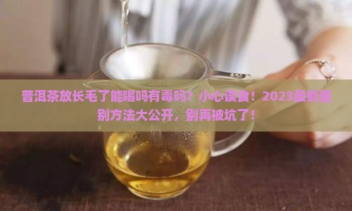 普洱茶放长毛了能喝吗有毒吗