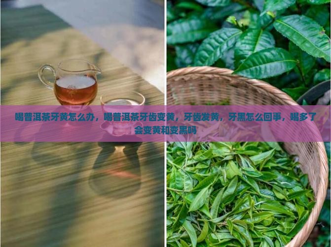 喝普洱茶牙黄怎么办