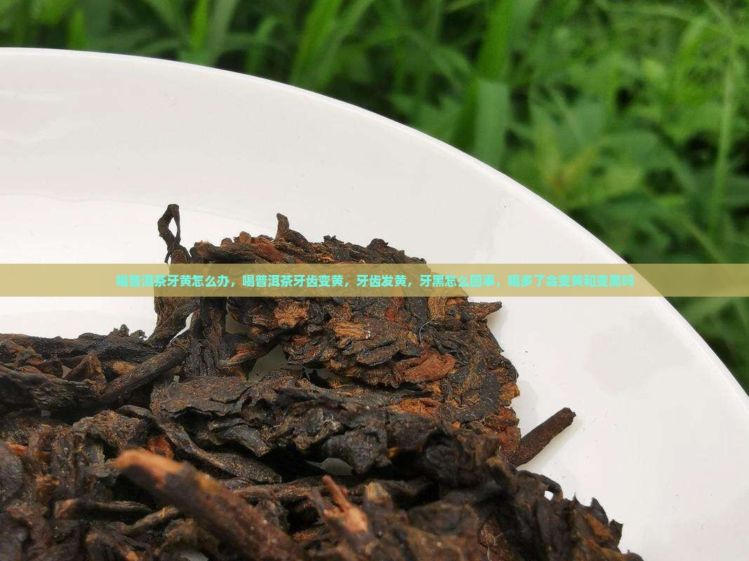 喝普洱茶牙黄怎么办