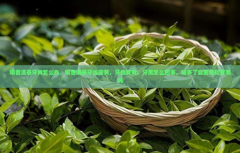 喝普洱茶牙黄怎么办
