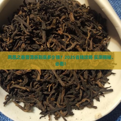 凤凰之春普洱茶多少饯