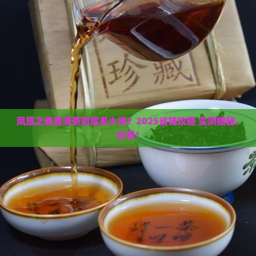 凤凰之春普洱茶多少饯