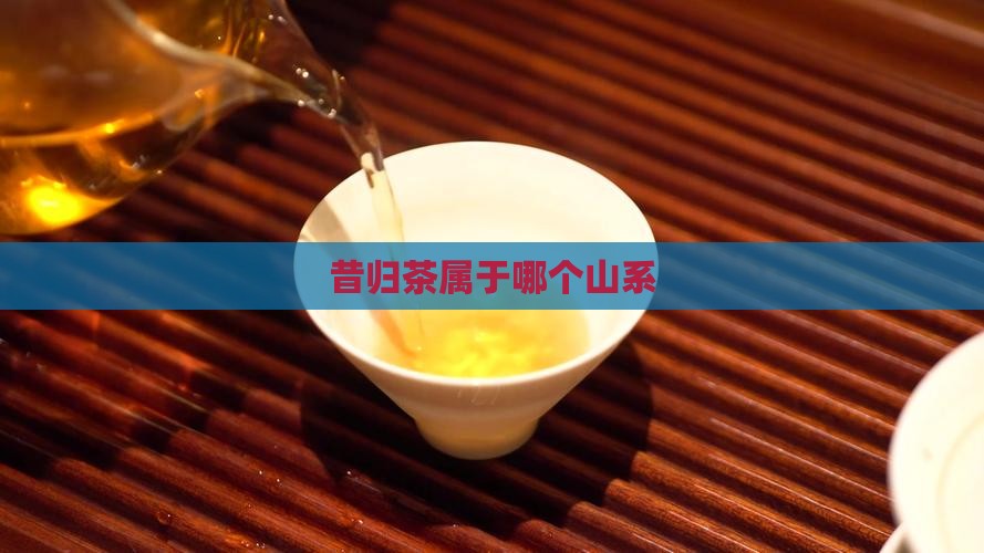 昔归茶属于哪个山系