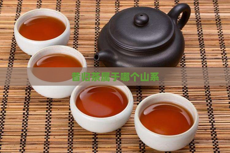 昔归茶属于哪个山系