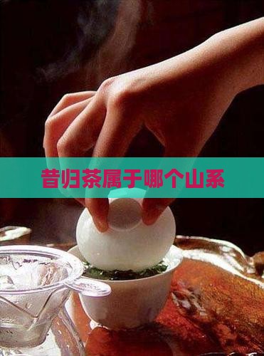 昔归茶属于哪个山系