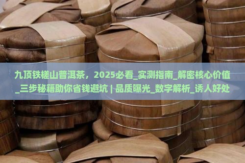 九顶铁槎山普洱茶