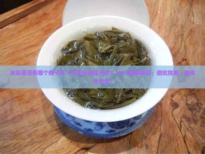 冰岛普洱茶哪个牌子好