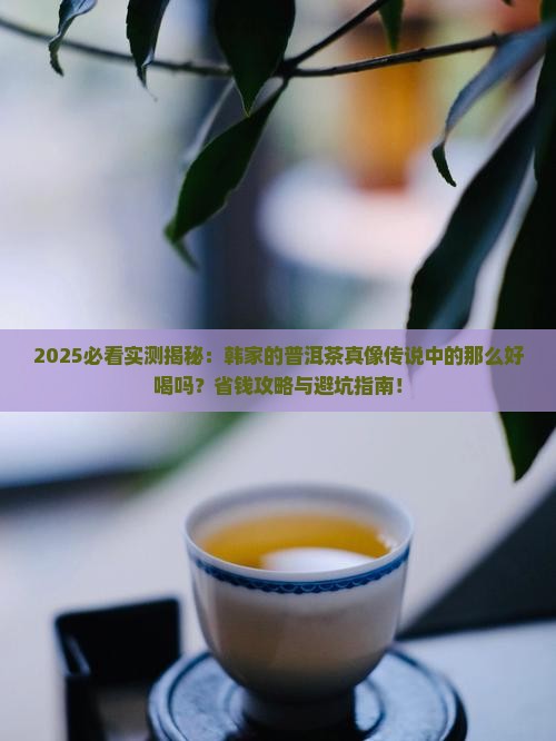 韩家的普洱茶好喝吗