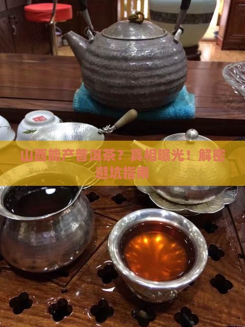 山西生产普洱茶吗