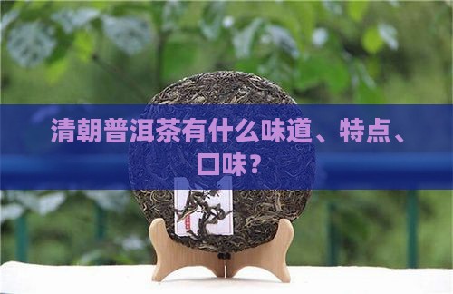 清朝普洱茶有什么味道