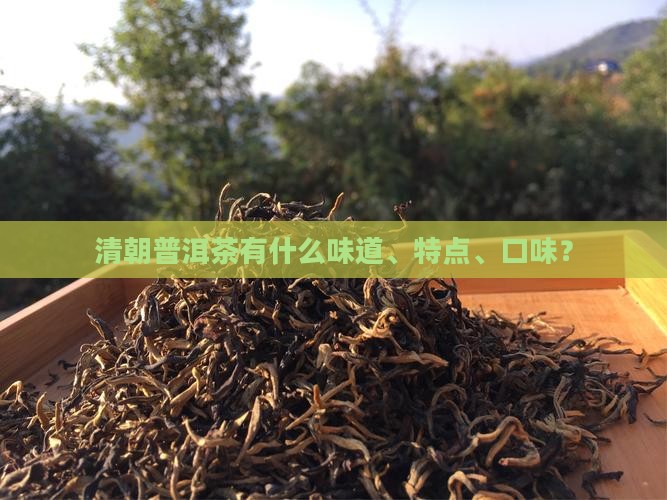 清朝普洱茶有什么味道