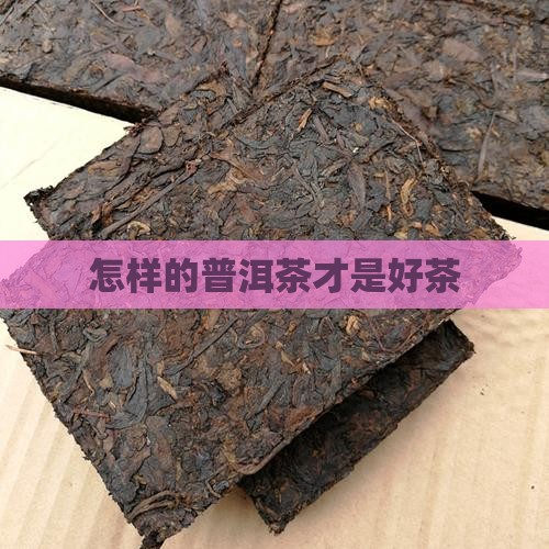 怎样的普洱茶叫好茶