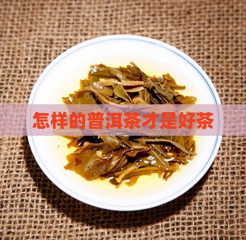 怎样的普洱茶叫好茶