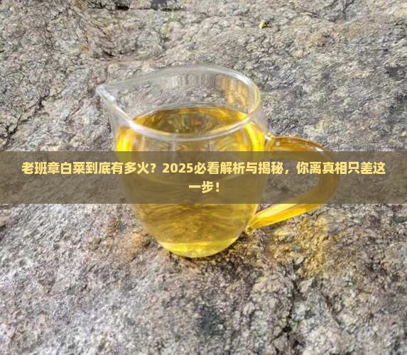 老班章白菜是什么意思