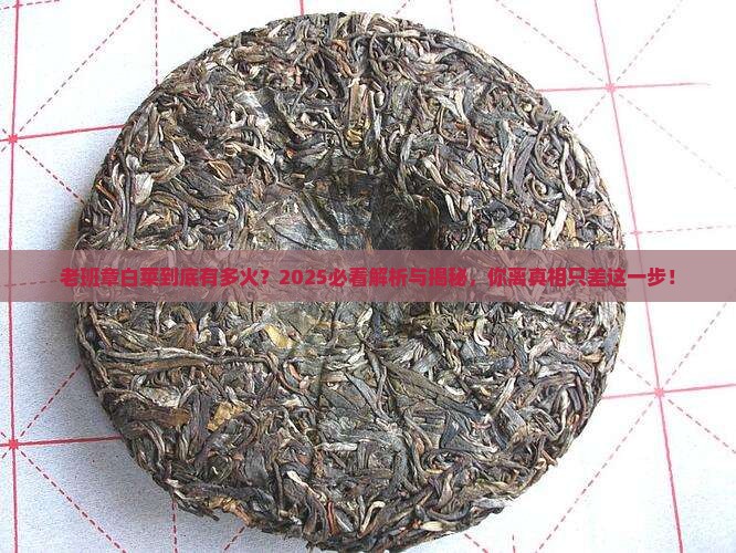 老班章白菜是什么意思