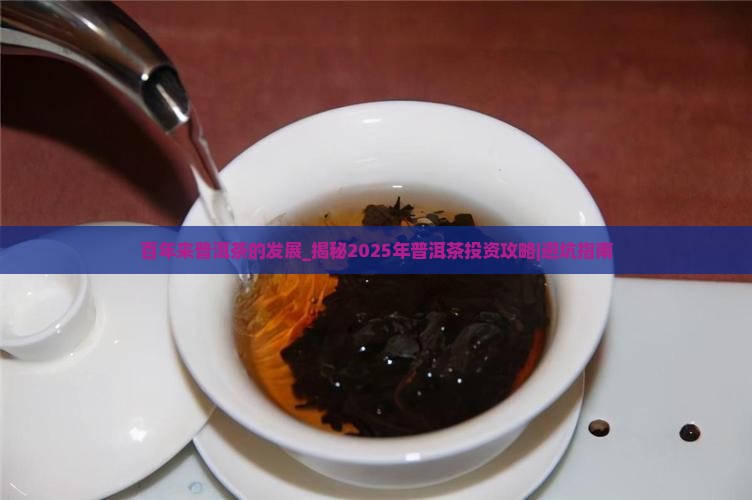 百年来普洱茶的发展 百年来普洱茶的发展