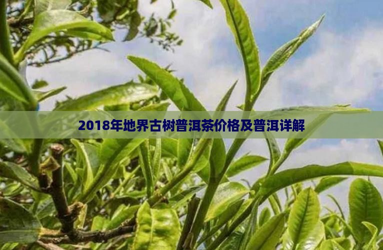 2018年地界古树普洱茶
